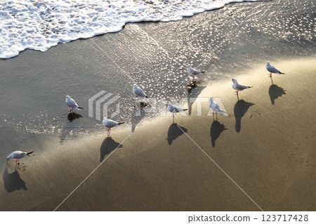Seaside of the beach 123717428