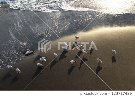 Seaside of the beach 123717429
