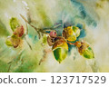 Acorn watercolor painting 123717529