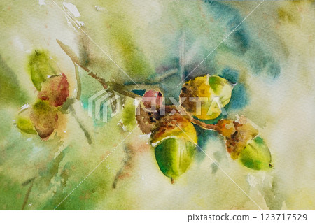 Acorn watercolor painting 123717529