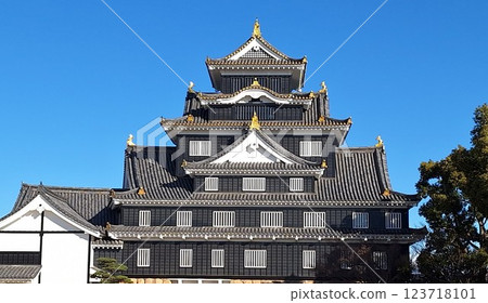 凝視在藍天的城堡塔 凝視在藍天的城堡塔 123718101