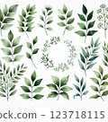 leaf material 123718115