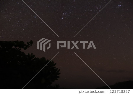 夏天的夜空 夏天的夜空 123718237