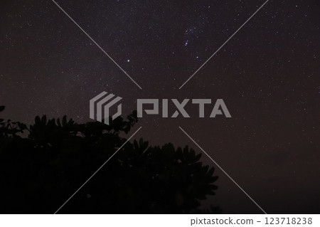夏天的夜空 夏天的夜空 123718238