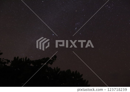 夏天的夜空 夏天的夜空 123718239