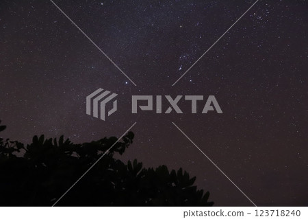 夏天的夜空 夏天的夜空 123718240