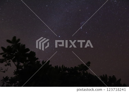 夏天的夜空 夏天的夜空 123718241