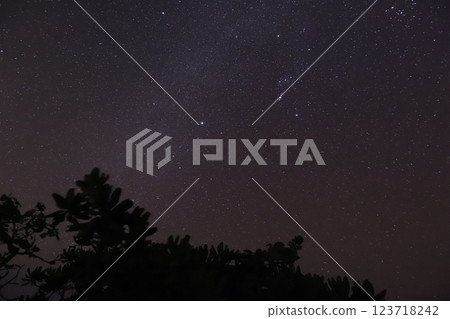 夏天的夜空 夏天的夜空 123718242