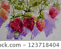 Strawberries and fruits 123718404
