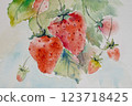 Strawberries and fruits 123718425