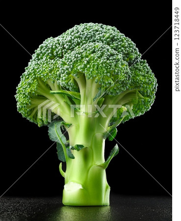 新鮮西蘭花單獨排列 新鮮西蘭花單獨排列 123718449