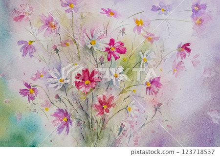 Cosmos water color 123718537