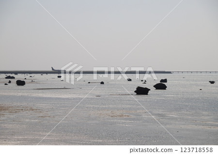 Fish fence and airplane 123718558