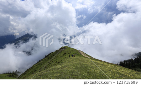 Footage of alpine meadows above tree line and cloudy blue sky. Footage of alpine meadows above tree line and cloudy blue sky. 123718699