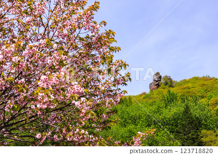 Eboshi Rock and cherry blossoms, Toyako Town, Hokkaido [May] 123718820