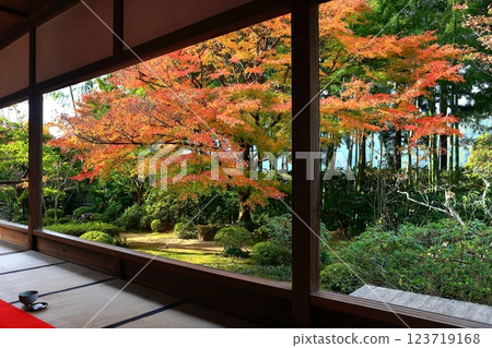 [Kyoto Prefecture] Autumn leaves in the frame garden at Hosen-in Temple (Ohara, Kyoto) 123719168