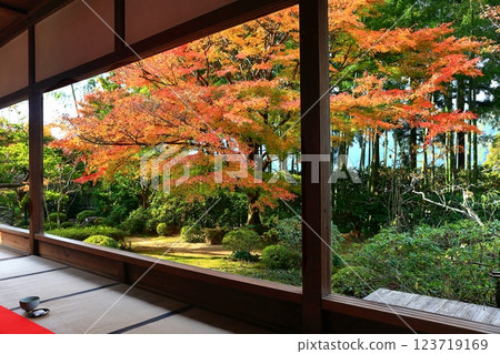 [Kyoto Prefecture] Autumn leaves in the frame garden at Hosen-in Temple (Ohara, Kyoto) 123719169