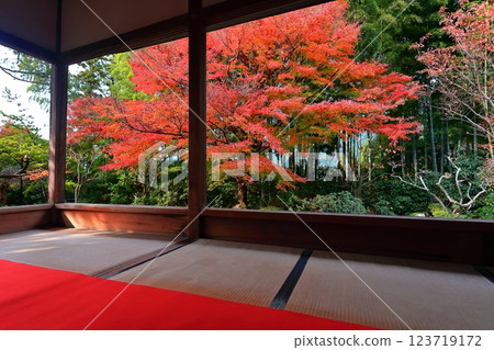 [京都府] 寶泉院框庭園的紅葉（京都府大原） 123719172