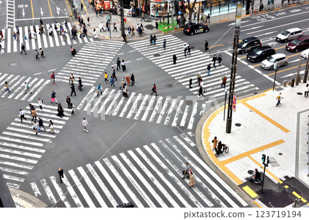 Sukiyabashi scramble crossing view 123719194