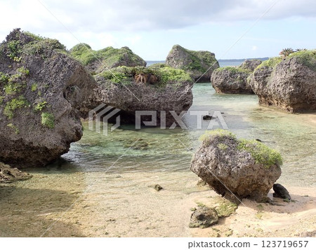 Ogami Island 123719657