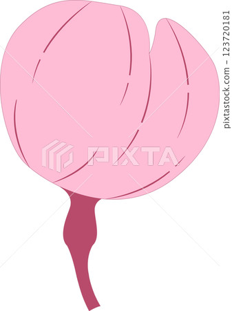 Cherry Blossoms   123720181