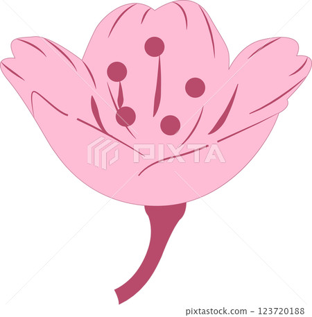 Cherry Blossoms Cherry Blossoms 123720188