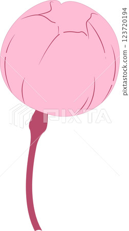 Cherry Blossoms   123720194