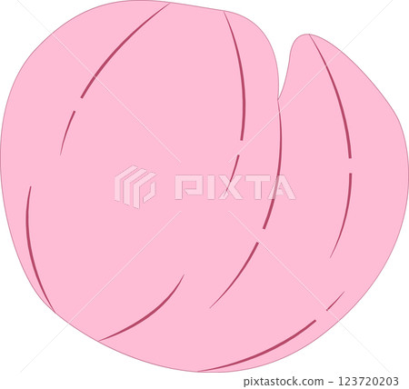 Cherry Blossoms Cherry Blossoms 123720203