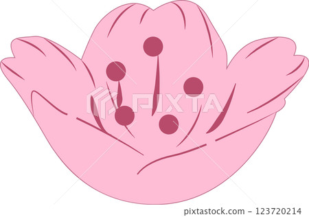 Cherry Blossoms   123720214