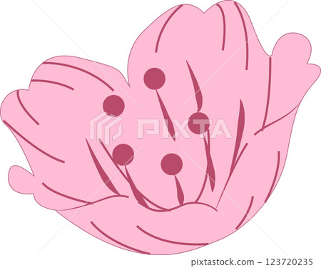 Cherry Blossoms   123720235