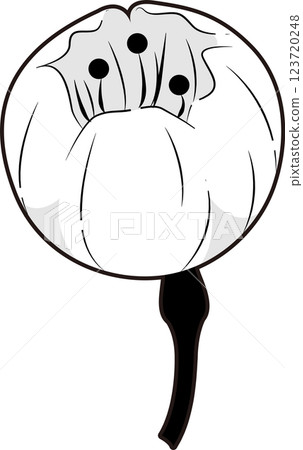 櫻花 櫻花 123720248