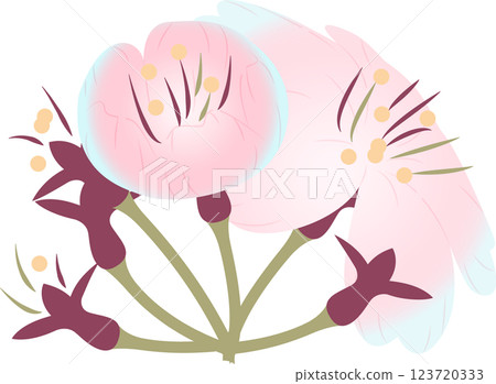 Cherry Blossoms   123720333