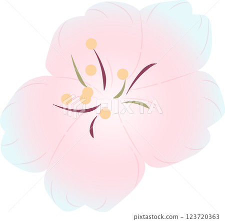 Cherry Blossoms Cherry Blossoms 123720363