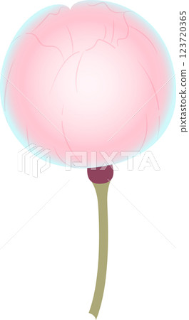 Cherry Blossoms Cherry Blossoms 123720365