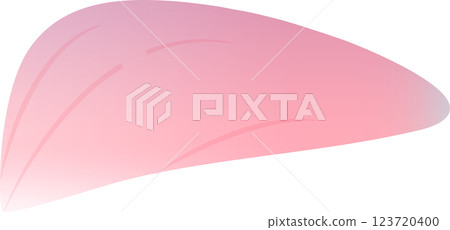 Cherry Blossoms   123720400