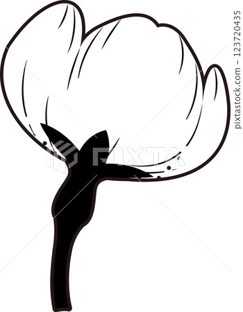 Cherry Blossoms Cherry Blossoms 123720435