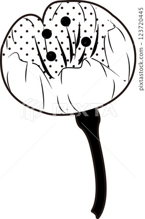 Cherry Blossoms   123720445