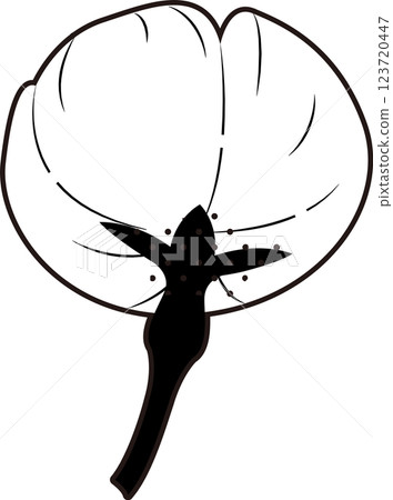 櫻花 123720447