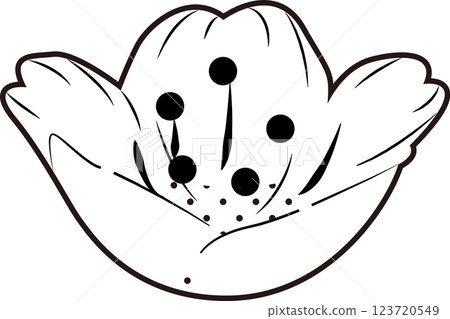 櫻花 櫻花 123720549