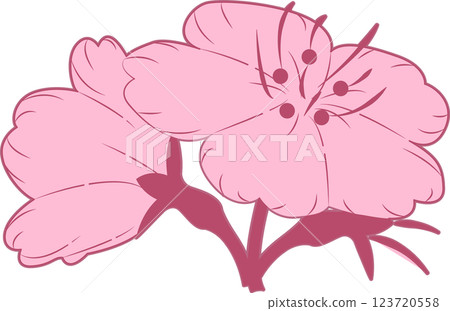 櫻花 櫻花 123720558