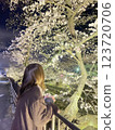 A woman looking at cherry blossoms at night 123720706