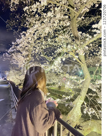 A woman looking at cherry blossoms at night A woman looking at cherry blossoms at night 123720706