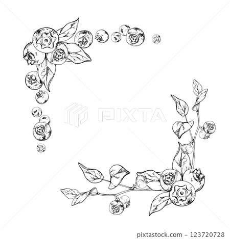 Blueberry blackberry bunch with plant leaves on branch hand drawn in ink vector, ripe forest berry. Isolated botanical illustration garland frame corner. Restaurant, cafe, wedding menu, farmers market 123720728
