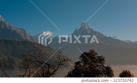 Morning sunlight highlights the majestic peak of Fishtail mountain and foliage on foreground 123720742