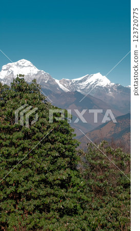 Stunning views of Annapurna range in Ghorepani, Nepal during the day, pan Stunning views of Annapurna range in Ghorepani, Nepal during the day, pan 123720775
