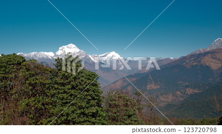 Stunning views of Annapurna range in Ghorepani, Nepal during the day, pan Stunning views of Annapurna range in Ghorepani, Nepal during the day, pan 123720798