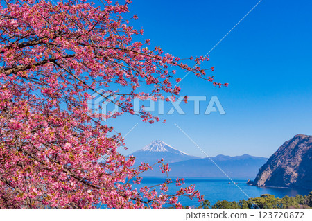 [Shizuoka Prefecture] Mt. Fuji seen across the sea from Nishiizuida where Kawazu cherry blossoms bloom 123720872
