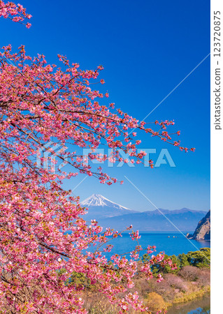 [Shizuoka Prefecture] Mt. Fuji seen across the sea from Nishiizuida where Kawazu cherry blossoms bloom 123720875