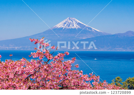 [Shizuoka Prefecture] Mt. Fuji seen across the sea from Nishiizuida where Kawazu cherry blossoms bloom 123720899