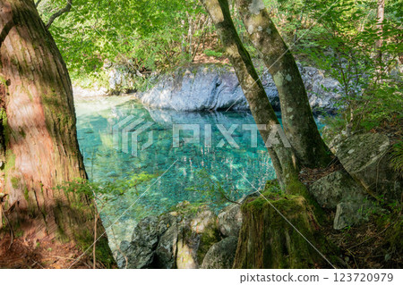 ＜Nagano＞ Atera Valley, Tanukigafuchi 123720979